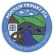 Pontlliw Primary 