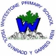 Whitestone Primary 